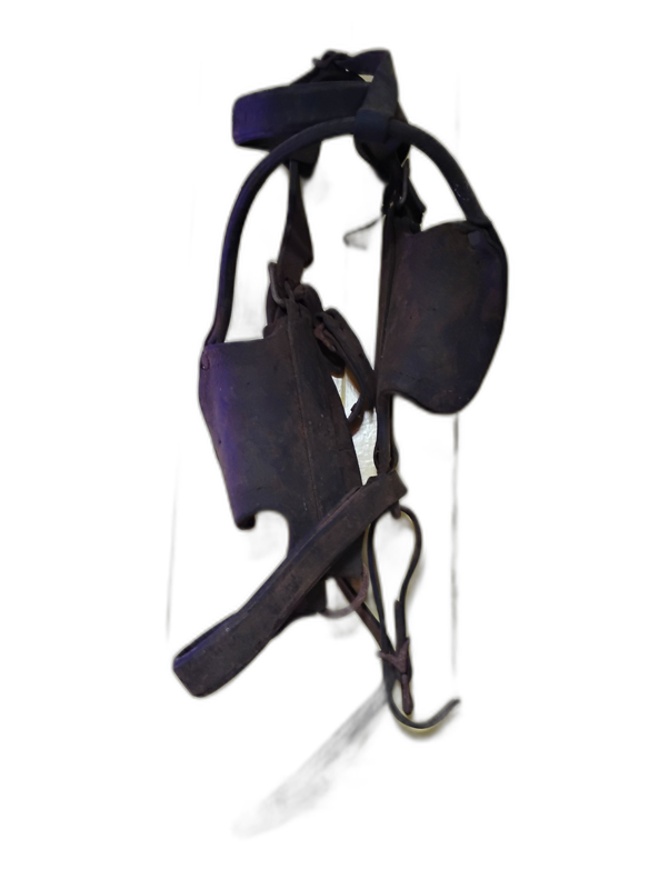 Leather Horse Bridle with Blinders