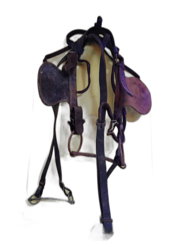 Leather Horse Bridle with Blinders and Bit