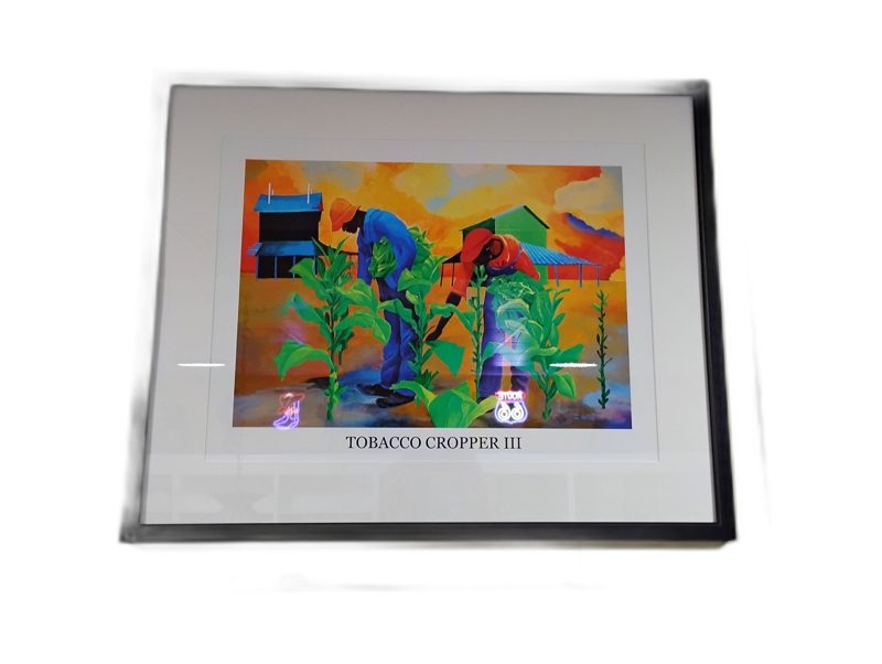 Framed Tobacco Cropper III Print